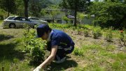 草むしりをしている旅館の仲間