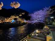 夜桜もっけ湯