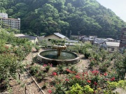 バラ公園